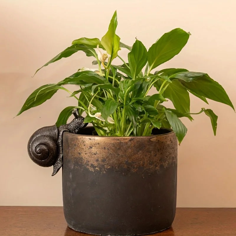 Snail Pot Hanger