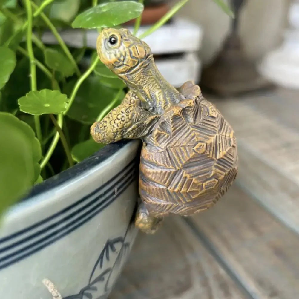 Tortoise Pot Hanger