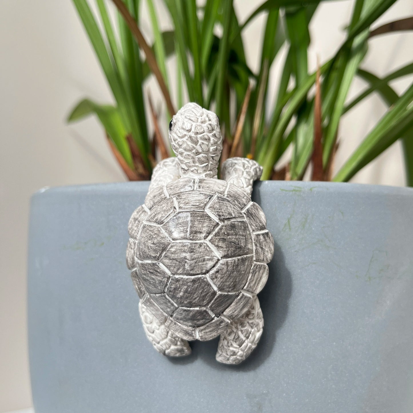 Sea Turtle Pot Hanger