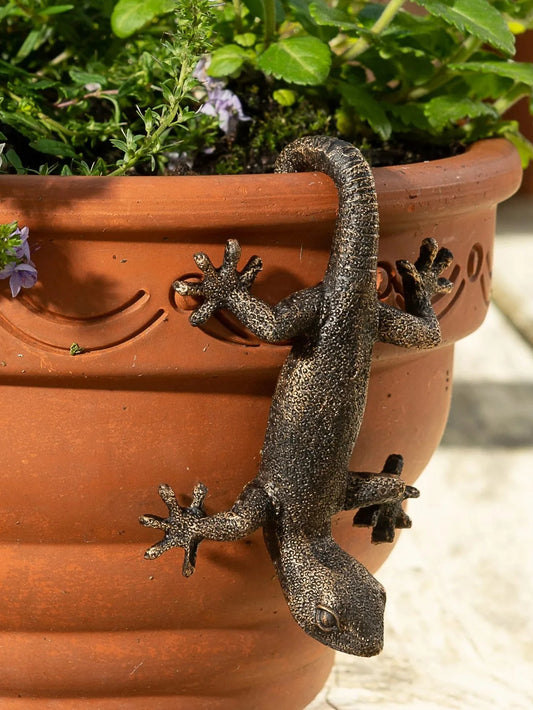 Gecko Plant Hanger