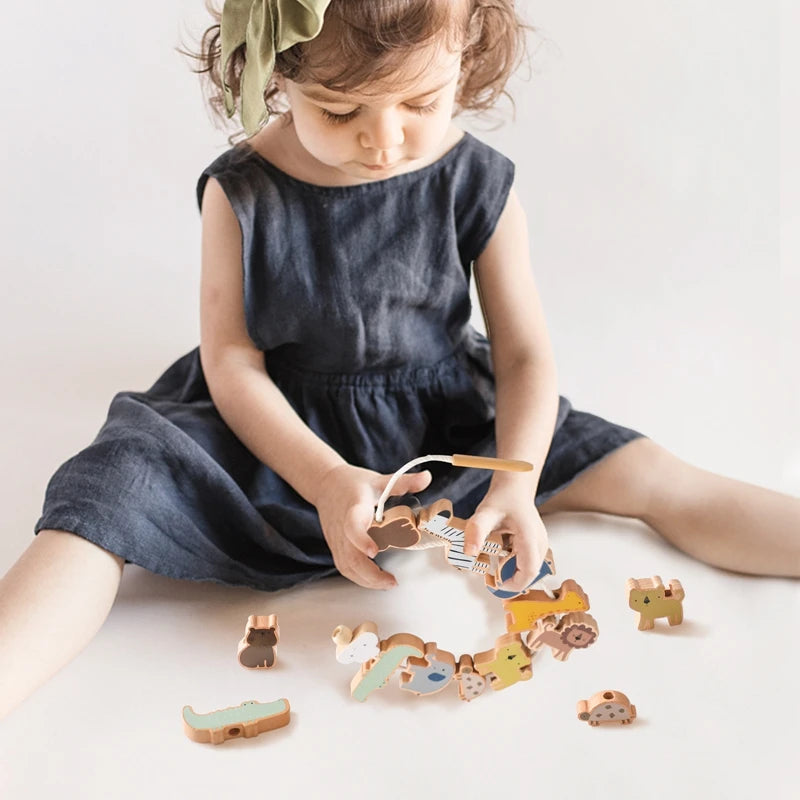 Wooden Threading Toy (2-4 years)