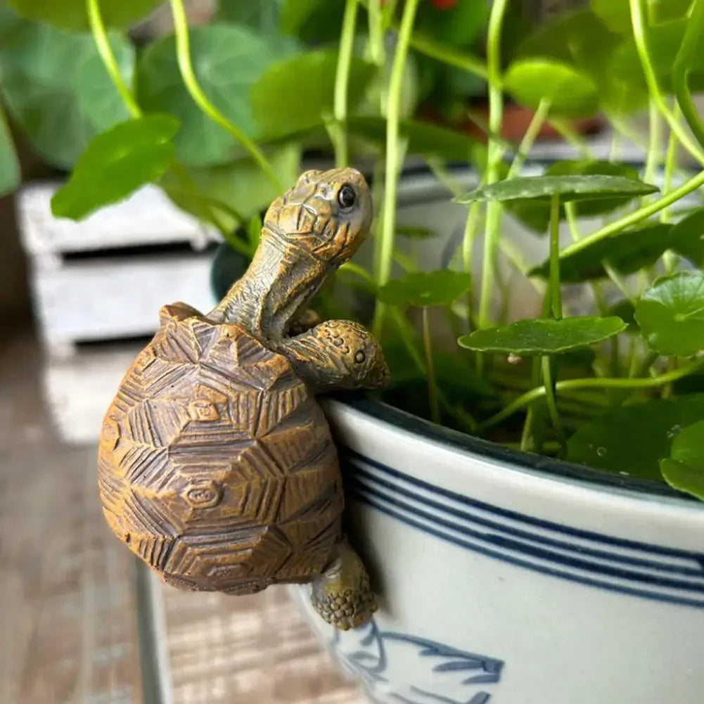 Tortoise Pot Hanger