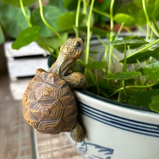 Tortoise Pot Hanger