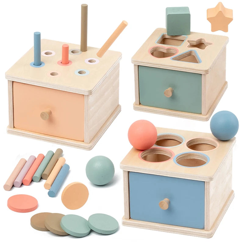 Wooden Shape Sort (12mo and up)