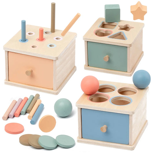 Wooden Shape Sort (12mo and up)